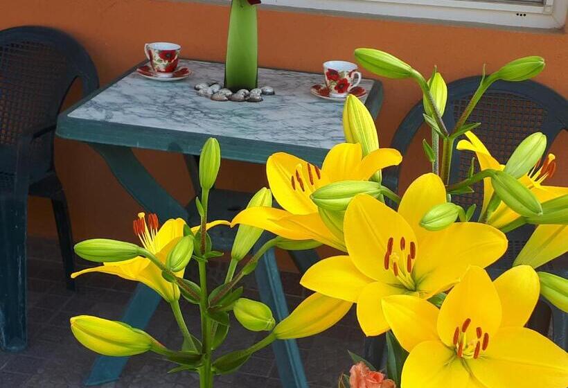 Пансион Dom Zaharievi