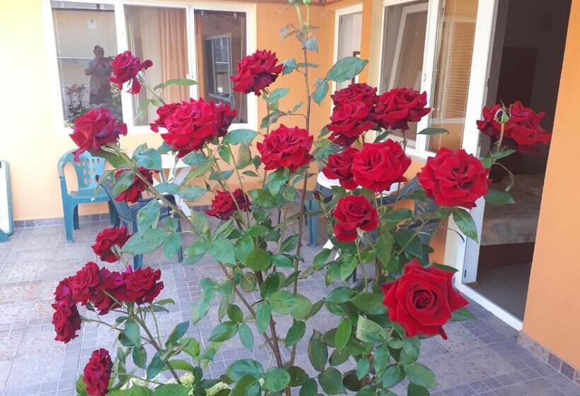 Пансион Dom Zaharievi