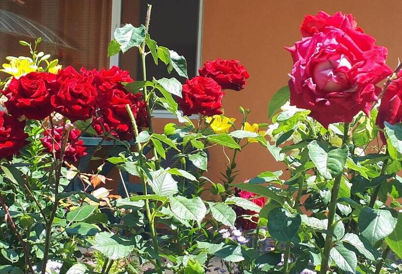 Пансион Dom Zaharievi