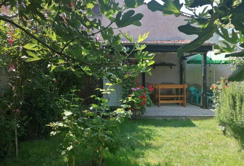 بنسيون Guest House Sokratovi