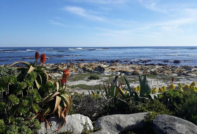 بنسيون Guinea Fowl House