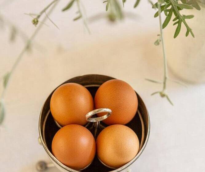 بنسيون Guinea Fowl House