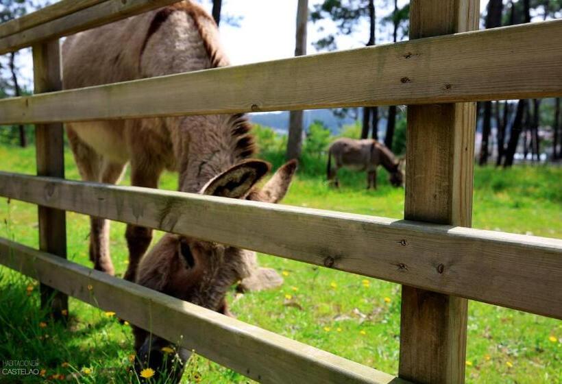 펜션 Habitaciones Castelao