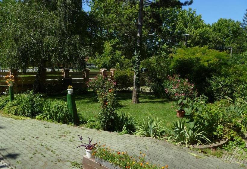 膳宿费 Liget Szálláshely