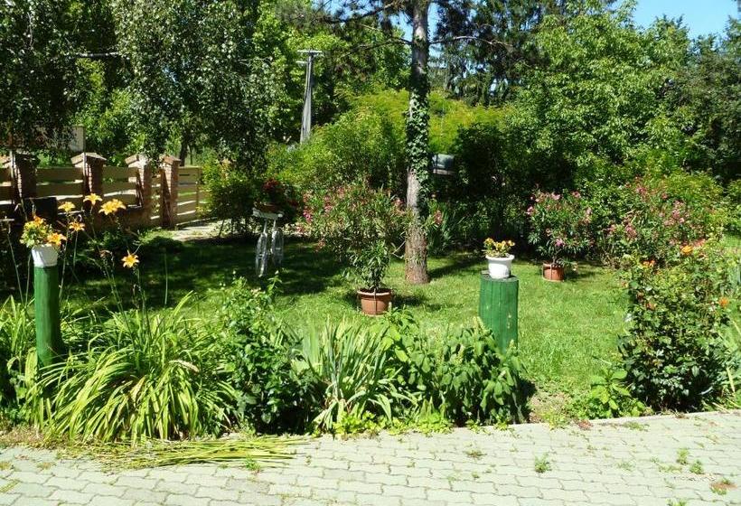 膳宿费 Liget Szálláshely