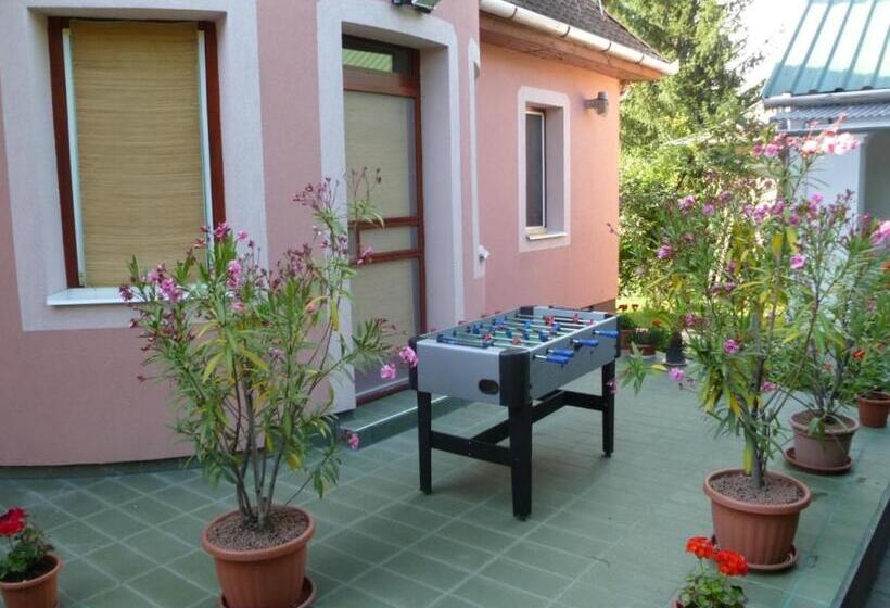 膳宿费 Liget Szálláshely