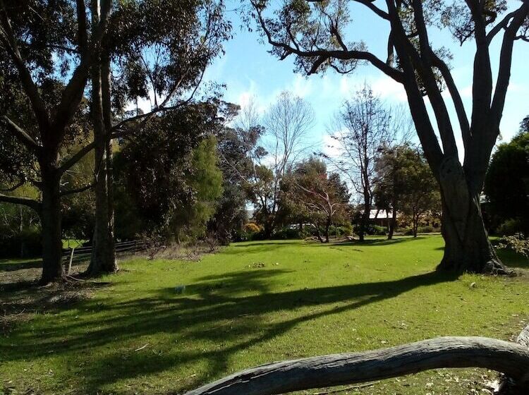 פנסיון Marri Lodge & Cottages