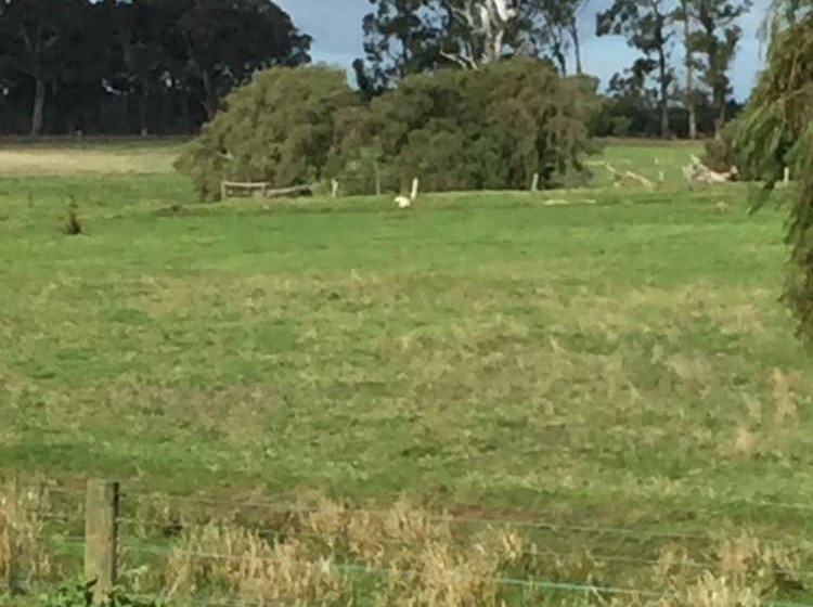 פנסיון Marri Lodge & Cottages