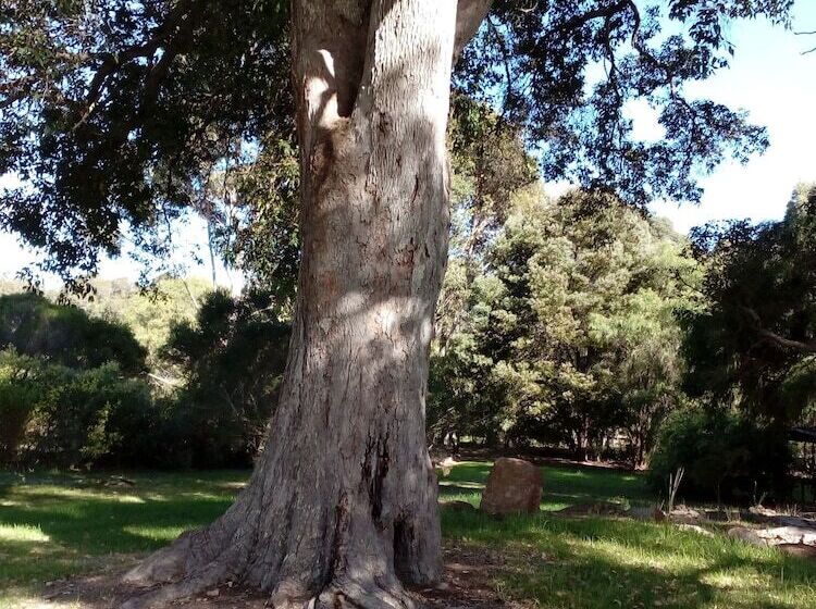 פנסיון Marri Lodge & Cottages