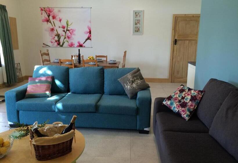 펜션 The Grape And Olive At Willunga