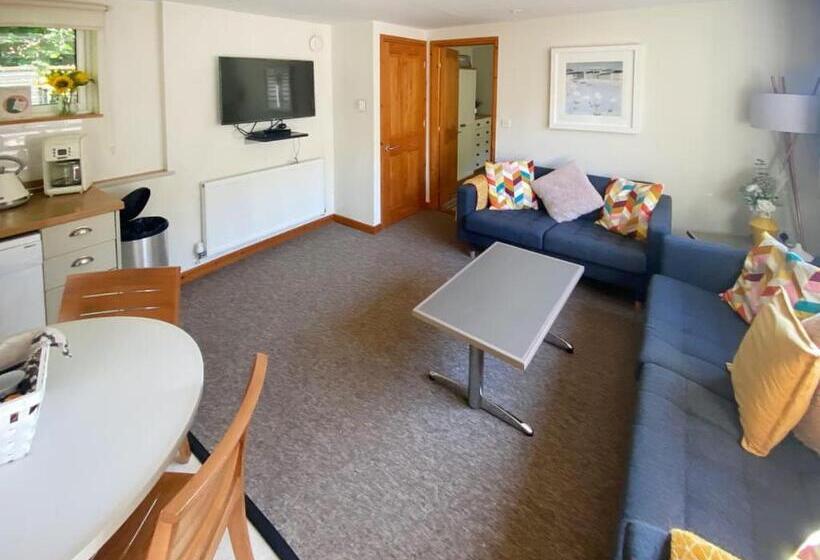 리조트 Ivyleaf Combe Lodges