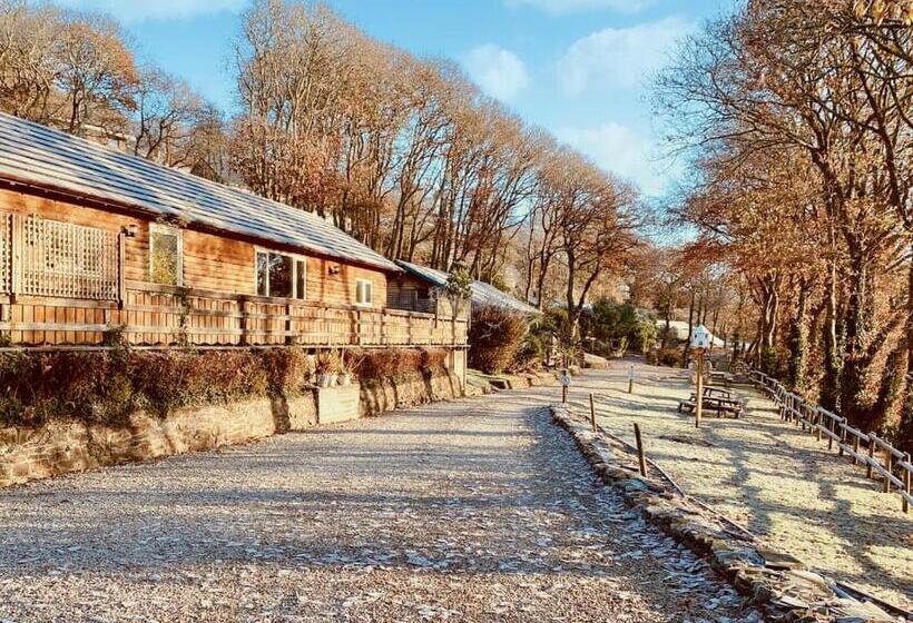 리조트 Ivyleaf Combe Lodges