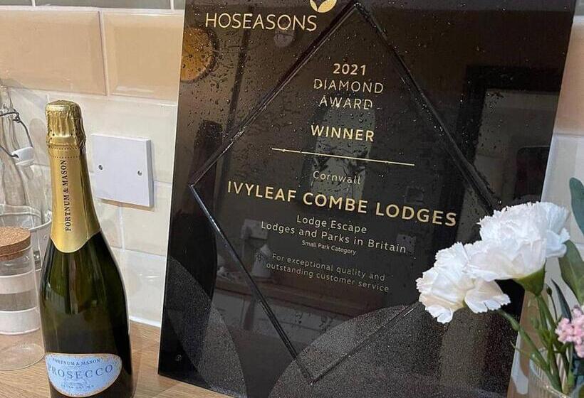 리조트 Ivyleaf Combe Lodges