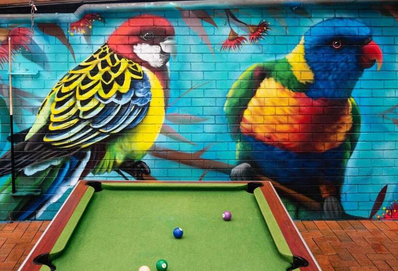 هاستل Backpackers Newcastle