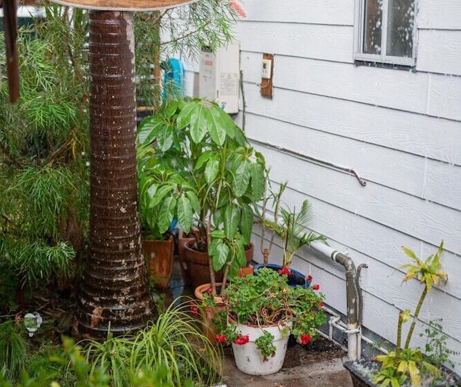 호스텔 Backpackers Newcastle