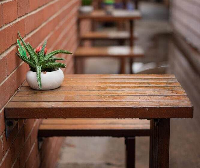 호스텔 Backpackers Newcastle