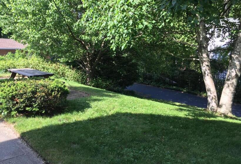 Общежитие Ludington Blue Spruce Inn