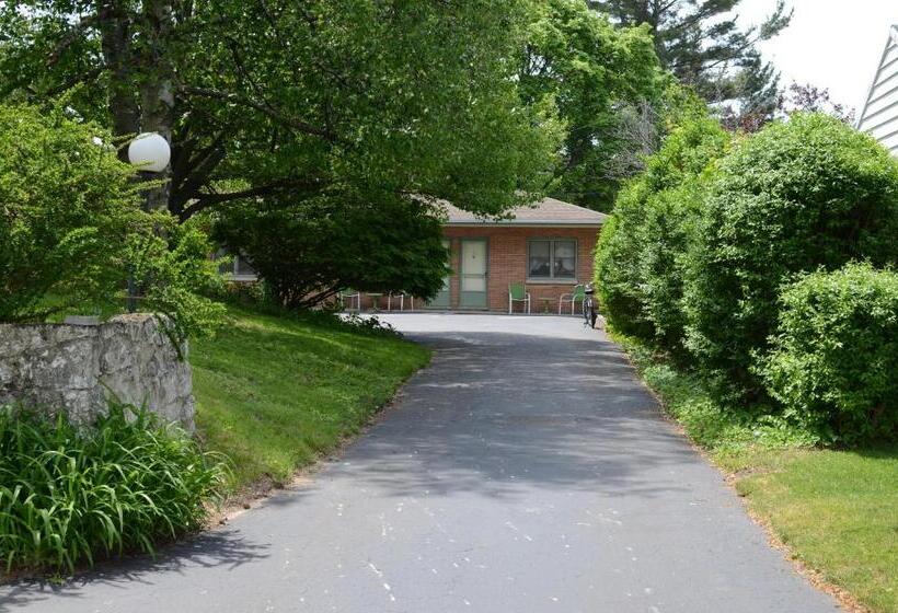 Общежитие Ludington Blue Spruce Inn