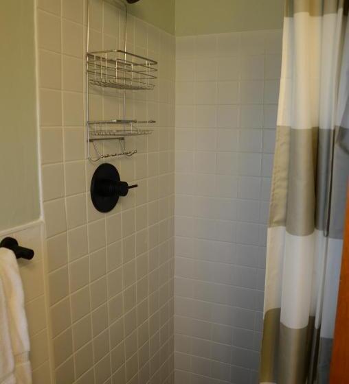 Общежитие Ludington Blue Spruce Inn