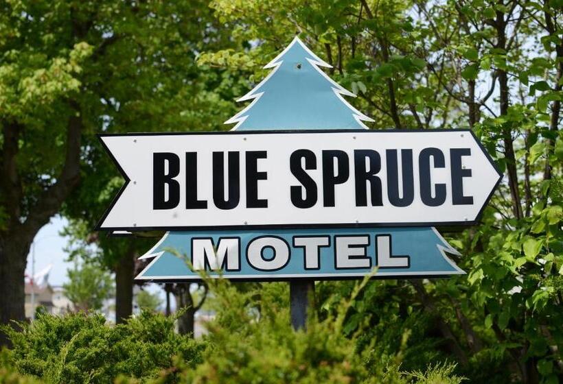 Общежитие Ludington Blue Spruce Inn