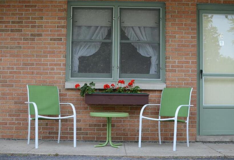 Общежитие Ludington Blue Spruce Inn