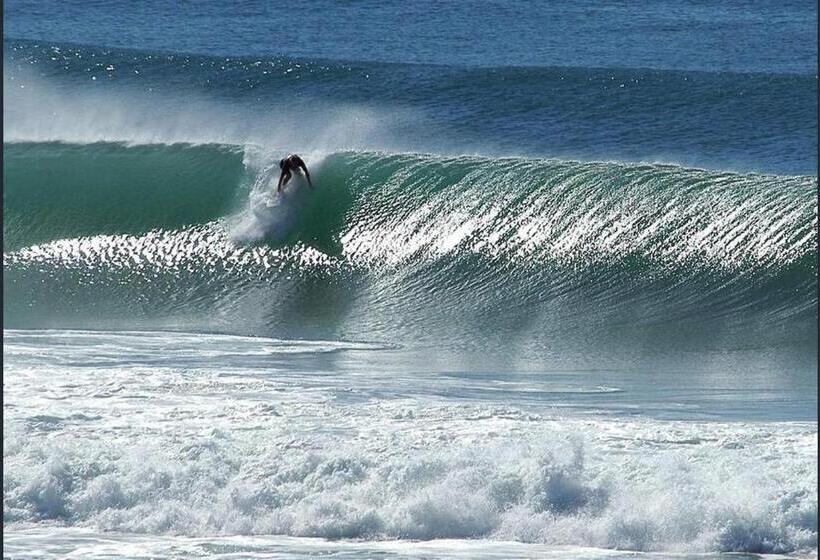 Aqua Promenade Beachfront Holiday Apartments