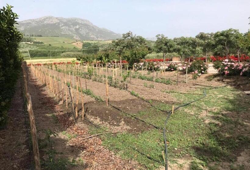 B&b Terre Di Paestum