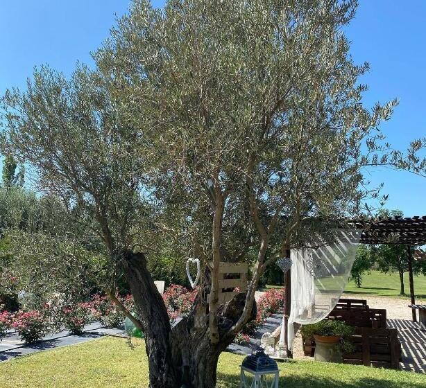 B&b Terre Di Paestum