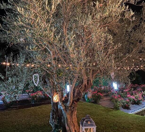 B&b Terre Di Paestum