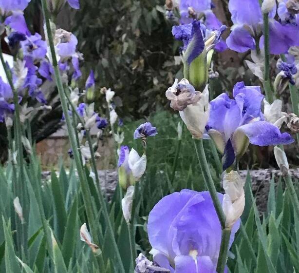 B&b Terre Di Paestum