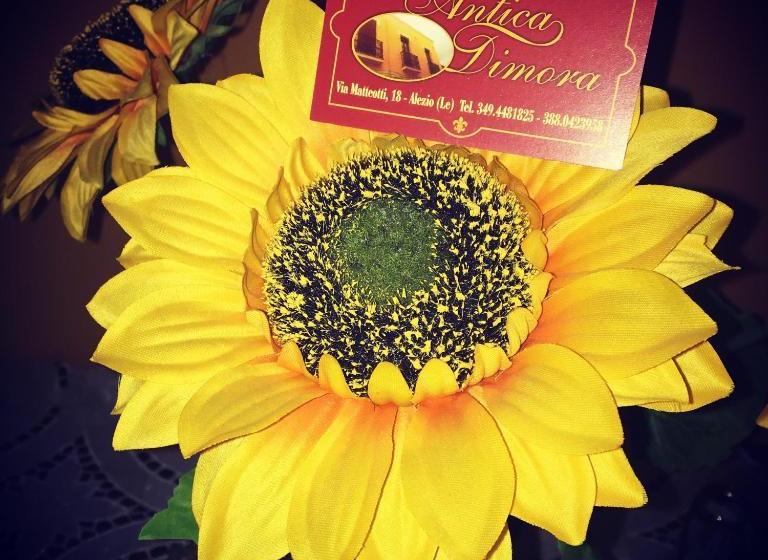 住宿加早餐  Antica Dimora