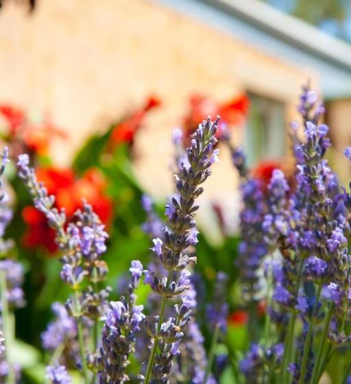 צימר Brayfield Cottage