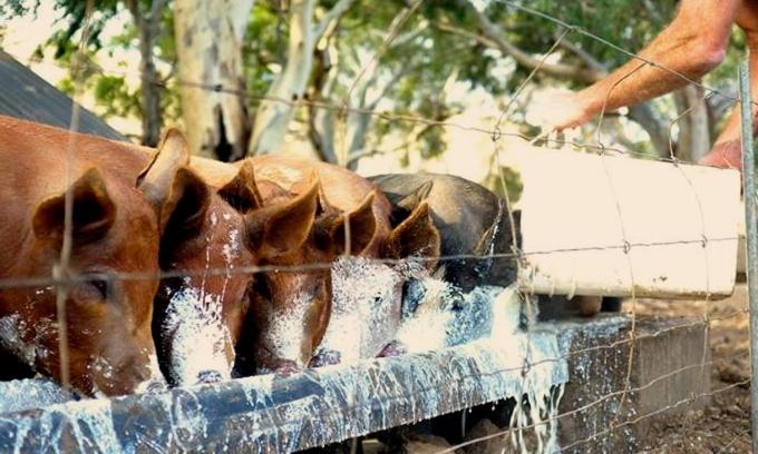 צימר Dairyman's Cottage