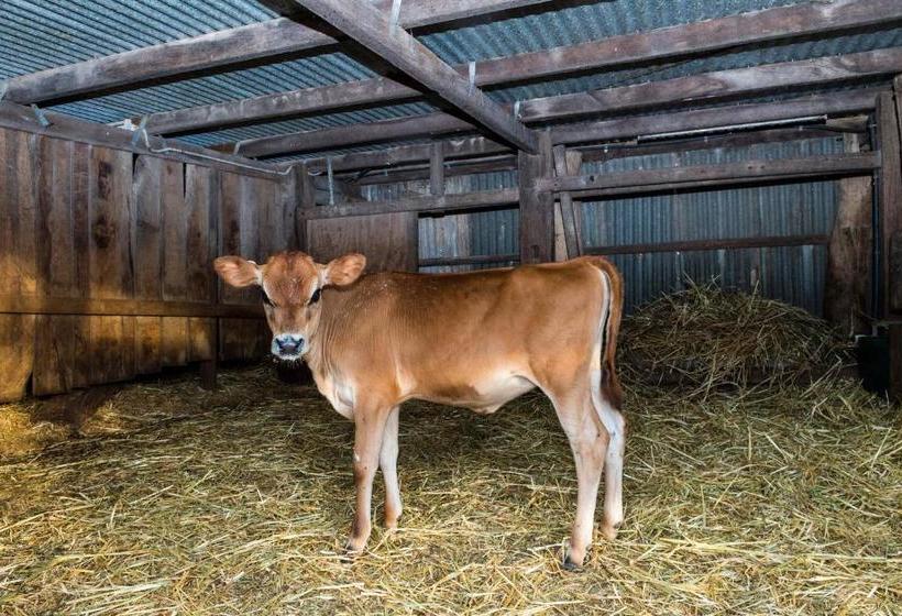 צימר Dairyman's Cottage