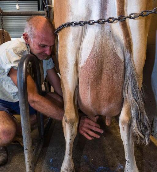 צימר Dairyman's Cottage