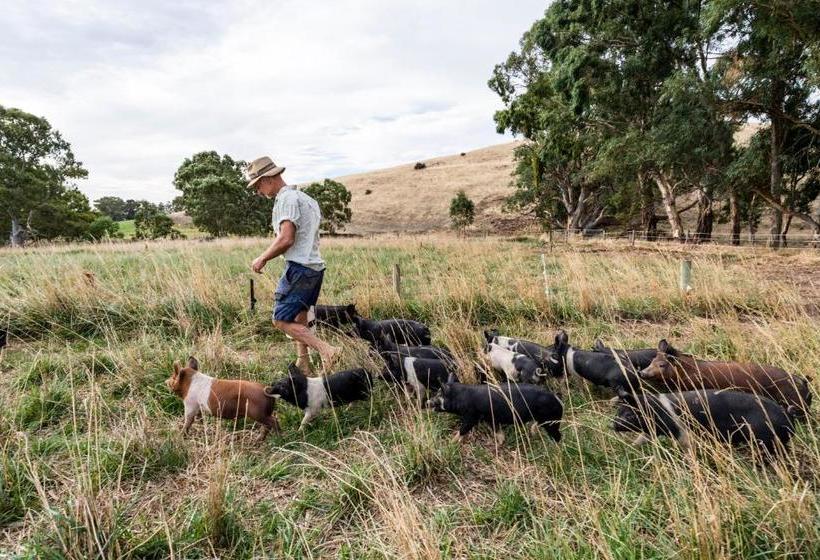 צימר Dairyman's Cottage