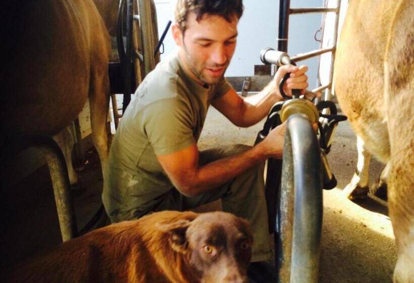 צימר Dairyman's Cottage