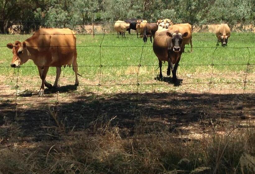 צימר Dairyman's Cottage