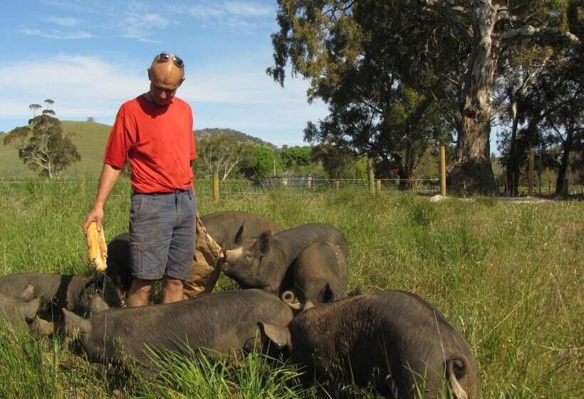 צימר Dairyman's Cottage