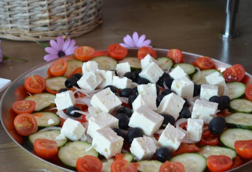 مبيت وإفطار Floripa Surf House