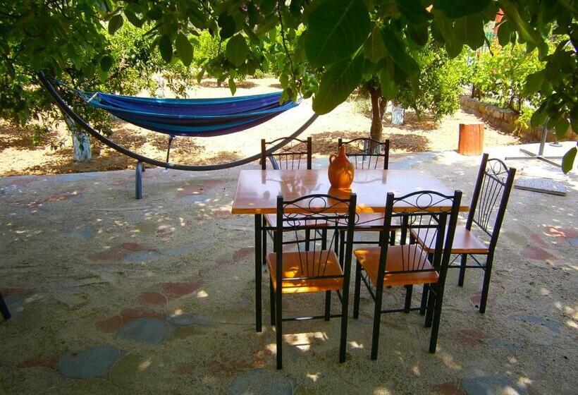 Bed And Breakfast L' Aranciera