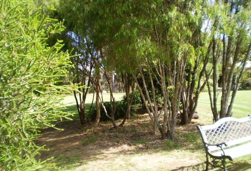 تختخواب و صبحانه Pinda Lodge