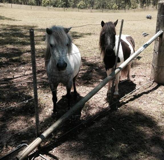 Belvoir B&b Cottages