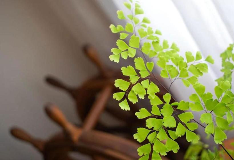 Boathouse Bunbury Bed & Breakfast