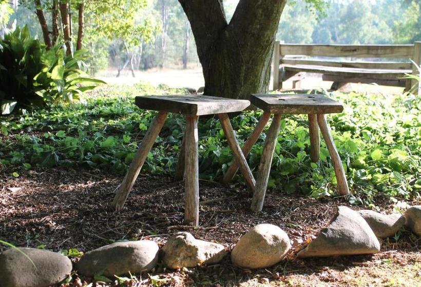 Buffalo Motel And Country Retreat