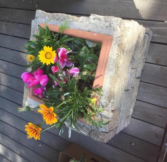 Buffalo Motel And Country Retreat