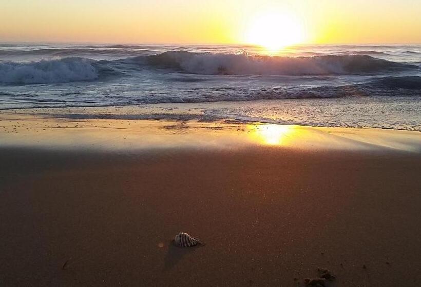 Diamond Beach Resort, Mid North Coast Nsw