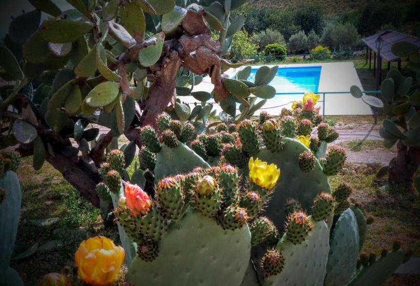 هتل Agriturismo Timpa Del Sole