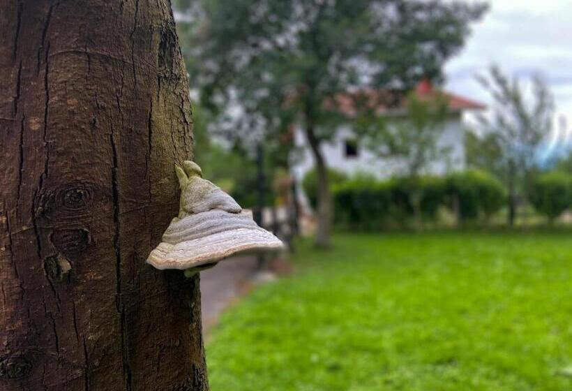 هتل Agroturismo Kostegi