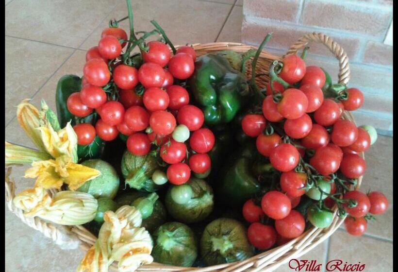 فندق Albergo Villa Riccio